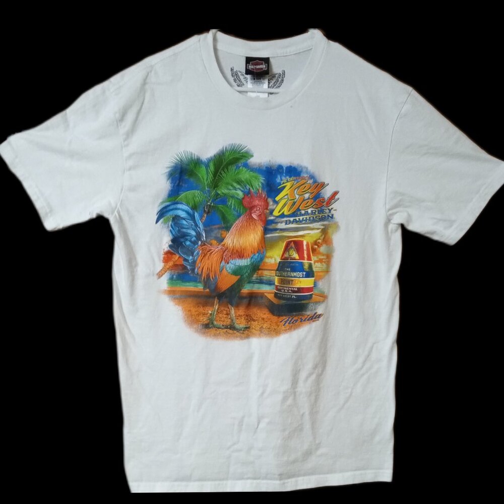 Harley Davison T-shirt, size Large